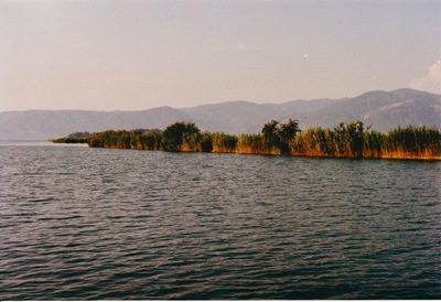 picture of Dalyan 1995
 Turkey